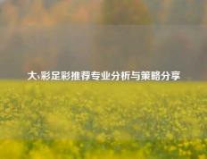 大v彩足彩推荐专业分析与策略分享