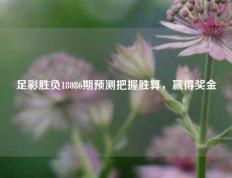 足彩胜负18086期预测把握胜算，赢得奖金