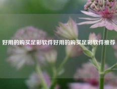 好用的购买足彩软件好用的购买足彩软件推荐
