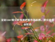 足彩18007期分析预测把握市场脉搏，抓住高收益机会