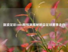 新浪足彩18004期预测揭秘明日足球赛事走向