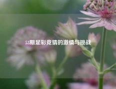 53期足彩竞猜的激情与挑战