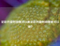 足彩开盘时间哪可以查足彩开盘时间哪里可以查？