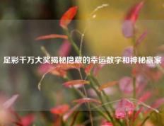 足彩千万大奖揭秘隐藏的幸运数字和神秘赢家
