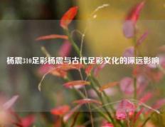 杨震310足彩杨震与古代足彩文化的深远影响