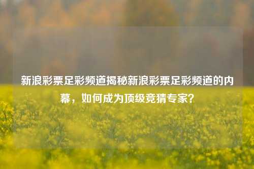 新浪彩票足彩频道揭秘新浪彩票足彩频道的内幕，如何成为顶级竞猜专家？