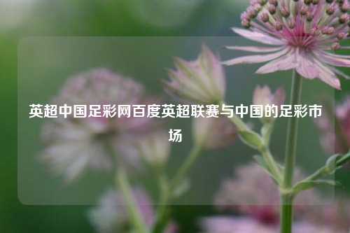 英超中国足彩网百度英超联赛与中国的足彩市场