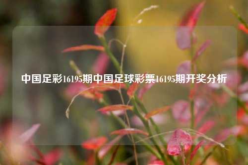 中国足彩16195期中国足球彩票16195期开奖分析