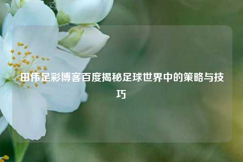 田伟足彩博客百度揭秘足球世界中的策略与技巧