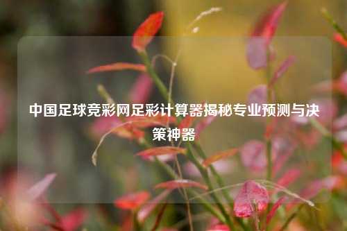 中国足球竞彩网足彩计算器揭秘专业预测与决策神器
