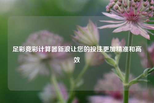 足彩竞彩计算器新浪让您的投注更加精准和高效
