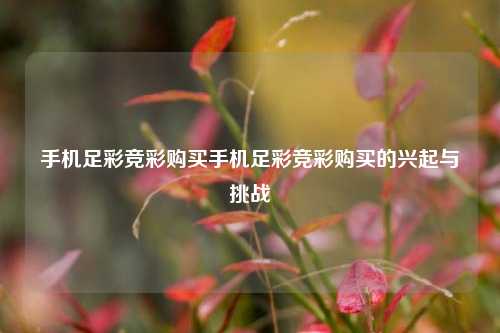 手机足彩竞彩购买手机足彩竞彩购买的兴起与挑战