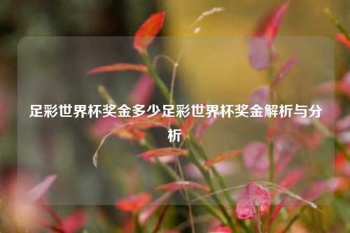 足彩世界杯奖金多少足彩世界杯奖金解析与分析