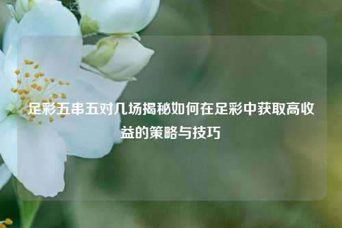 足彩五串五对几场揭秘如何在足彩中获取高收益的策略与技巧