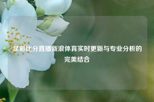 足彩比分直播新浪体育实时更新与专业分析的完美结合