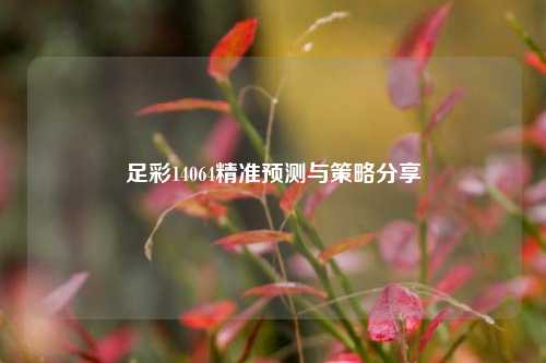 足彩14064精准预测与策略分享