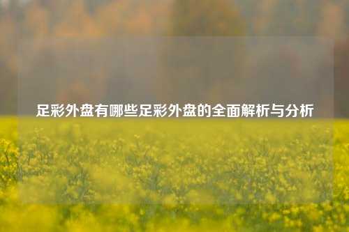 足彩外盘有哪些足彩外盘的全面解析与分析
