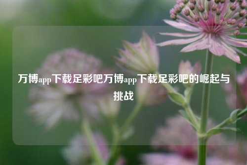 万博app下载足彩吧万博app下载足彩吧的崛起与挑战