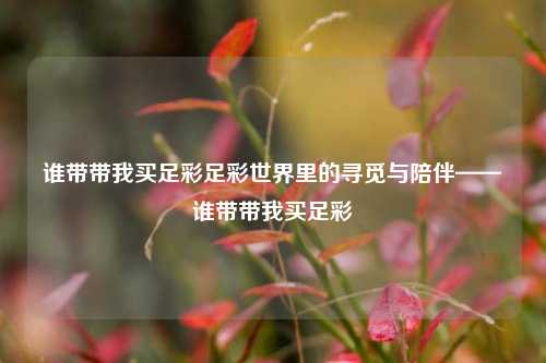 谁带带我买足彩足彩世界里的寻觅与陪伴——谁带带我买足彩