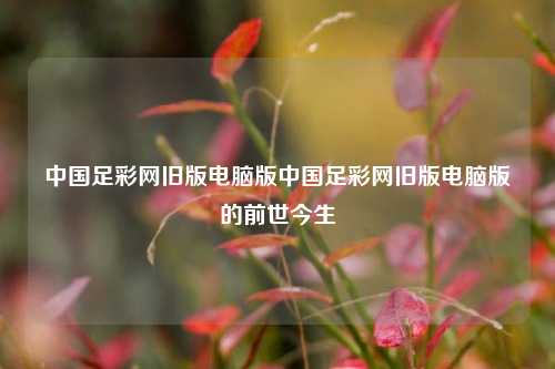 中国足彩网旧版电脑版中国足彩网旧版电脑版的前世今生