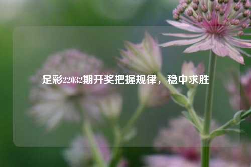 足彩22032期开奖把握规律，稳中求胜