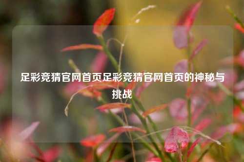 足彩竞猜官网首页足彩竞猜官网首页的神秘与挑战