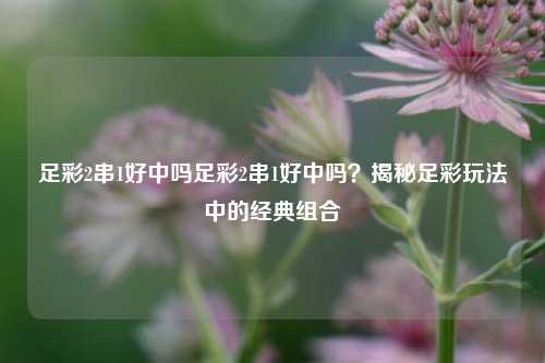 足彩2串1好中吗足彩2串1好中吗？揭秘足彩玩法中的经典组合