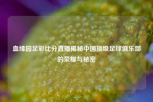 血缘园足彩比分直播揭秘中国顶级足球俱乐部的荣耀与秘密
