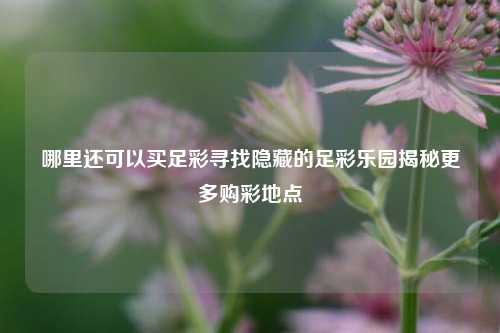 哪里还可以买足彩寻找隐藏的足彩乐园揭秘更多购彩地点