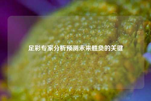足彩专家分析预测未来胜负的关键