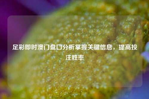 足彩即时澳门盘囗分析掌握关键信息，提高投注胜率
