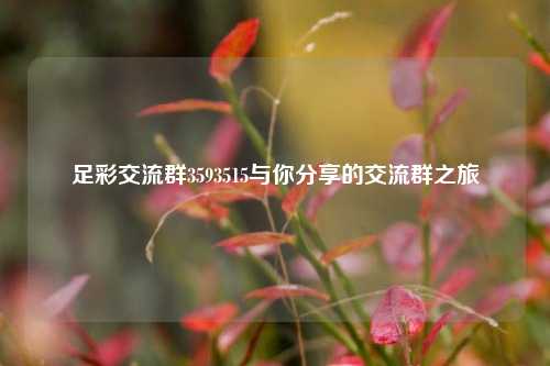 足彩交流群3593515与你分享的交流群之旅