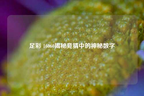足彩 16060揭秘竞猜中的神秘数字