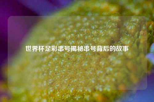 世界杯足彩串号揭秘串号背后的故事