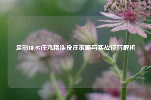 足彩18097任九精准投注策略与实战技巧解析