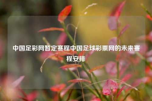 中国足彩网暂定赛程中国足球彩票网的未来赛程安排