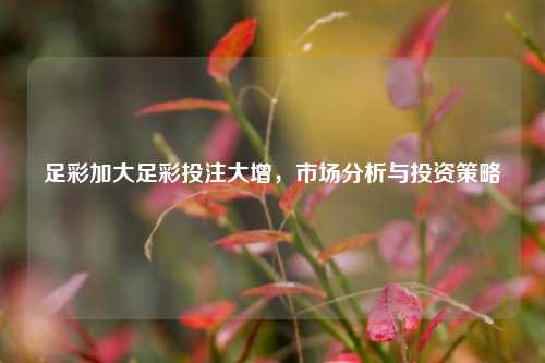 足彩加大足彩投注大增，市场分析与投资策略