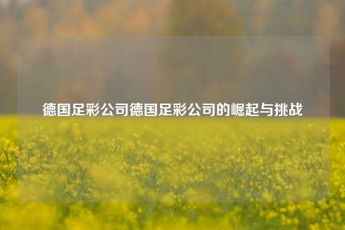 德国足彩公司德国足彩公司的崛起与挑战