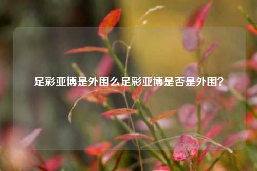 足彩亚博是外围么足彩亚博是否是外围？