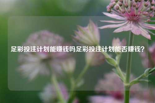 足彩投注计划能赚钱吗足彩投注计划能否赚钱？