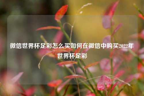 微信世界杯足彩怎么买如何在微信中购买2022年世界杯足彩