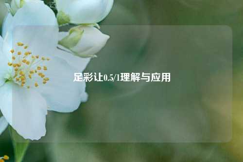 足彩让0.5/1理解与应用