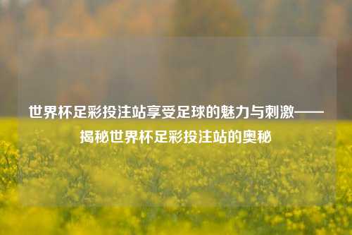 世界杯足彩投注站享受足球的魅力与刺激——揭秘世界杯足彩投注站的奥秘