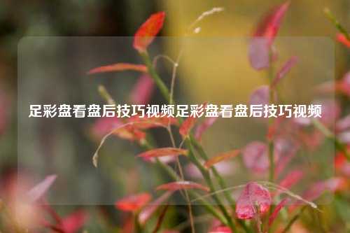足彩盘看盘后技巧视频足彩盘看盘后技巧视频
