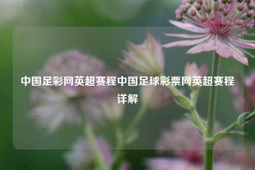 中国足彩网英超赛程中国足球彩票网英超赛程详解