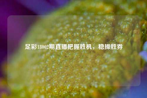 足彩18002期直播把握胜机，稳操胜券