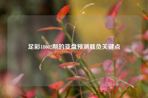 足彩18002期的亚盘预测胜负关键点